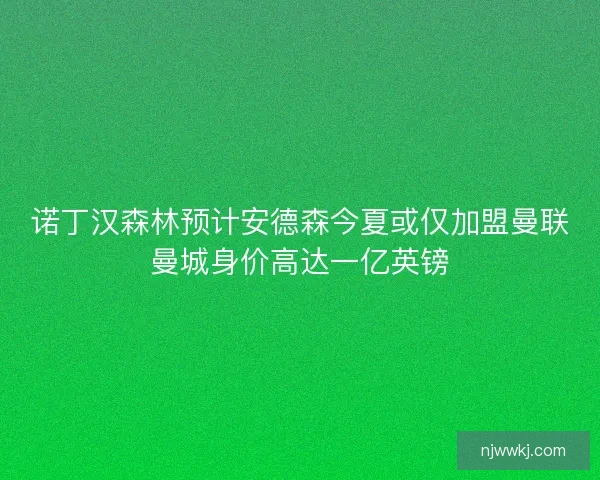 诺丁汉森林预计安德森今夏或仅加盟曼联曼城身价高达一亿英镑